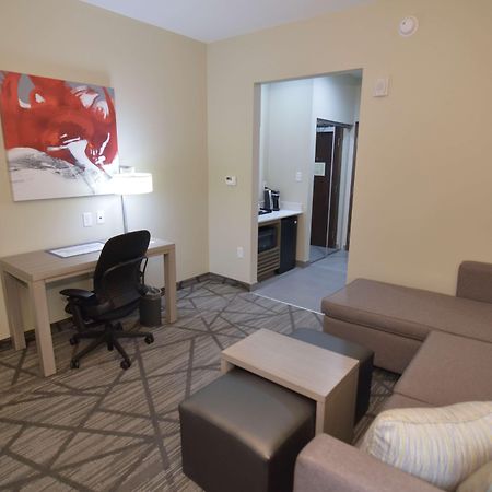 Comfort Inn & Suites Houston I-45 North - Iah Aldine Eksteriør bilde